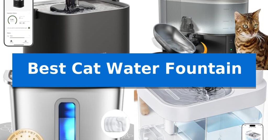 Best Cat Water Fountain
