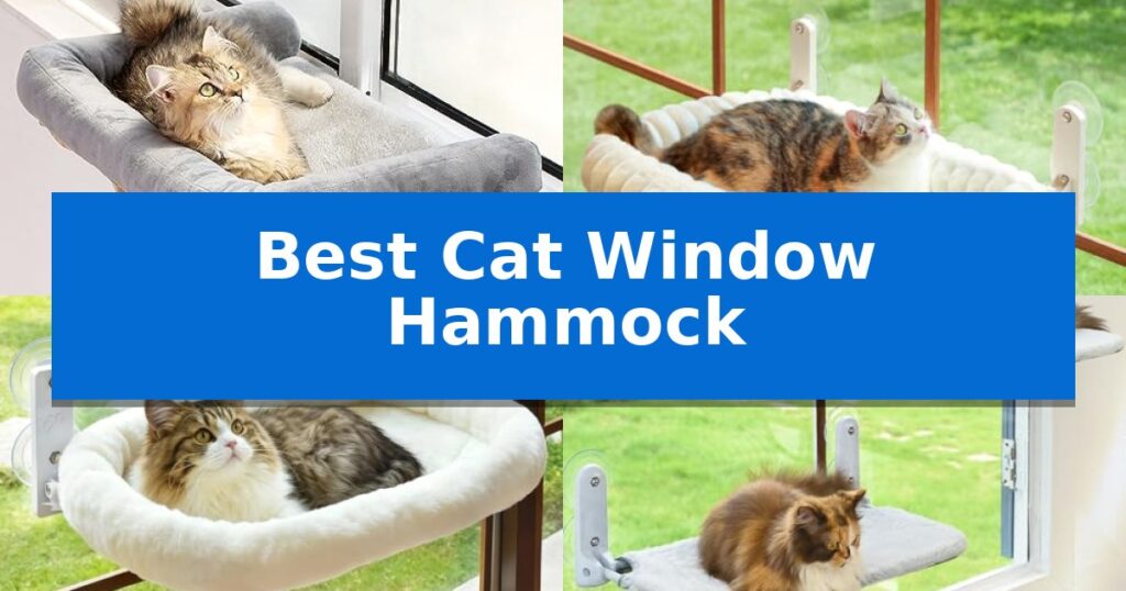 Best Cat Window Hammock