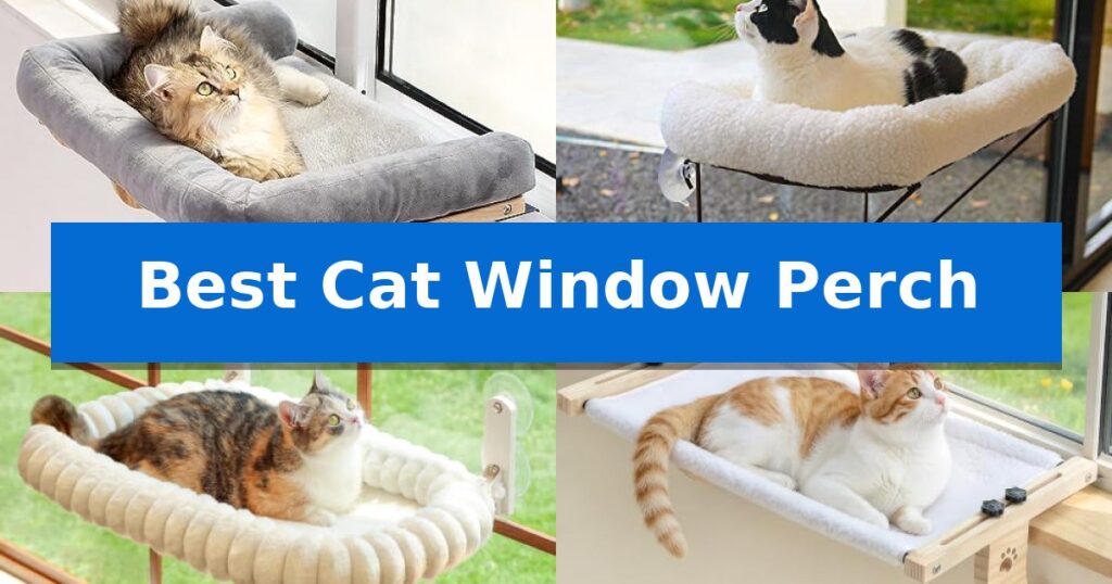Best Cat Window Perch