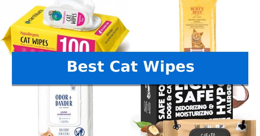 Best Cat Wipes