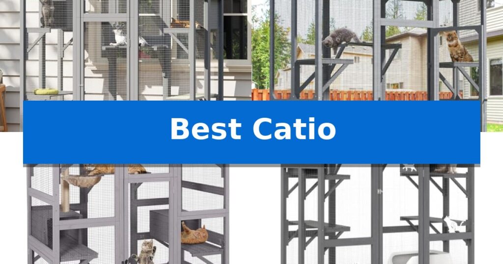 Best Catio