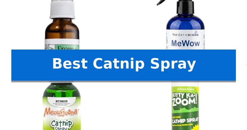 Best Catnip Spray