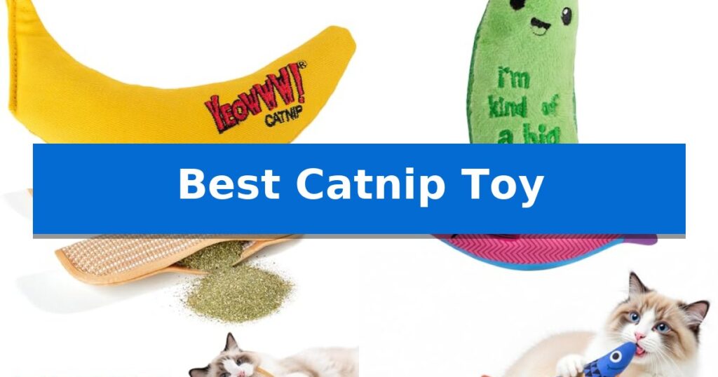 Best Catnip Toy
