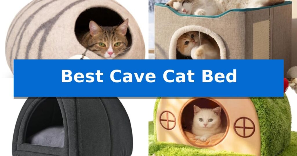 Best Cave Cat Bed