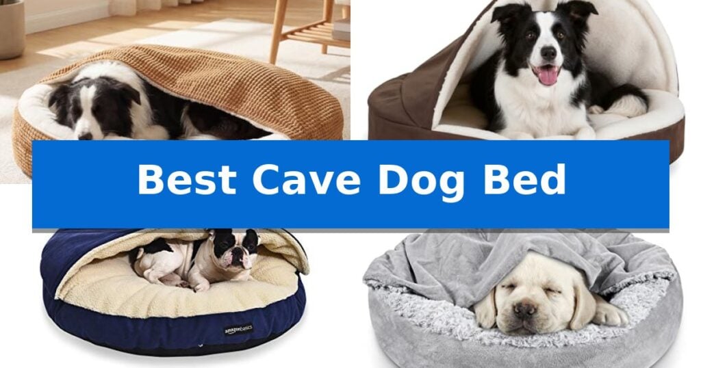 Best Cave Dog Bed