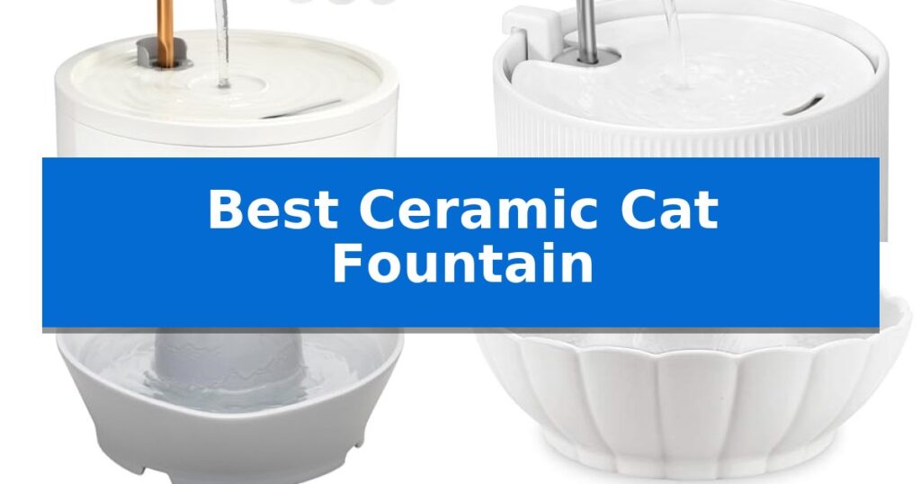Best Ceramic Cat Fountain