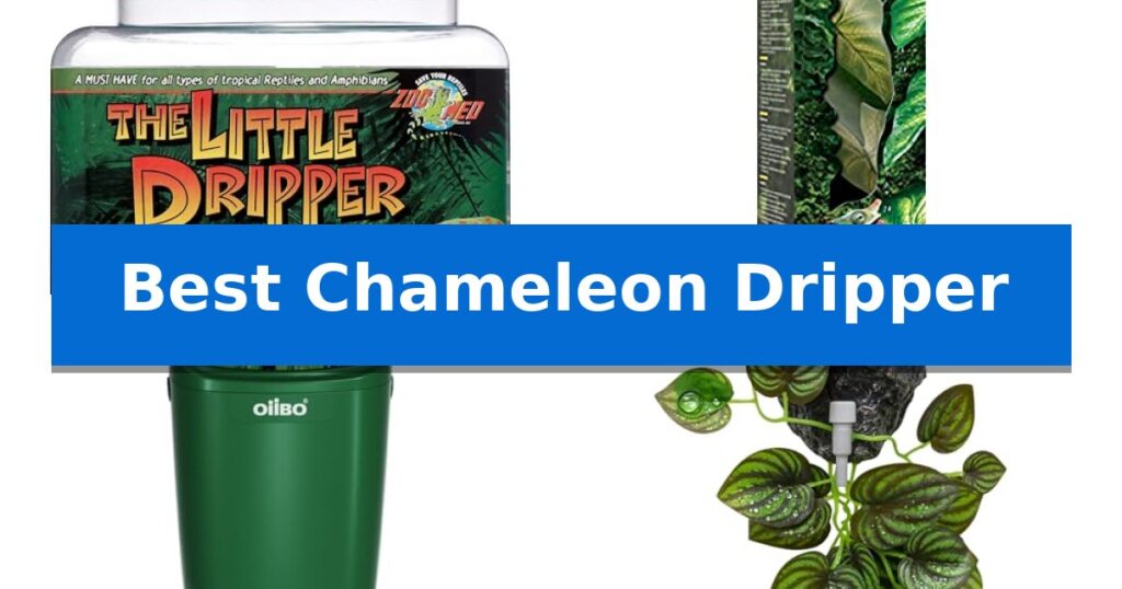 Best Chameleon Dripper