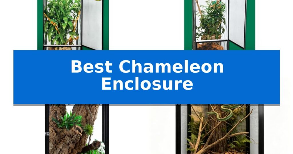 Best Chameleon Enclosure