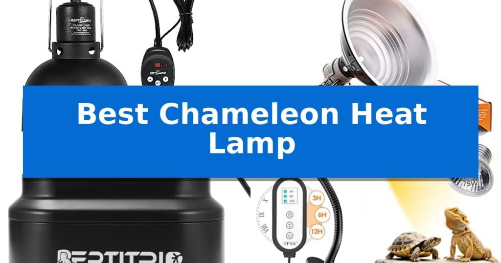 Best Chameleon Heat Lamp