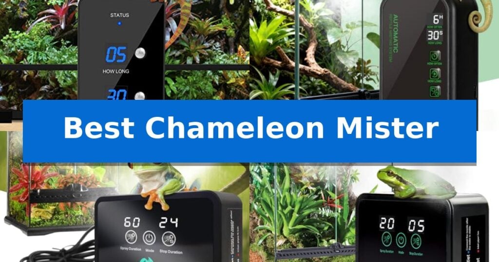 Best Chameleon Mister