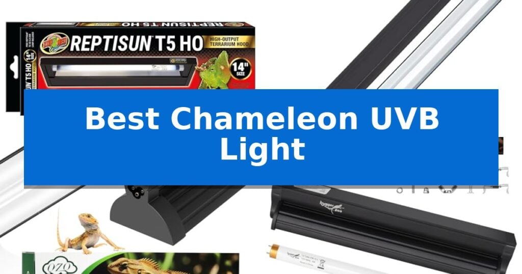 Best Chameleon UVB Light