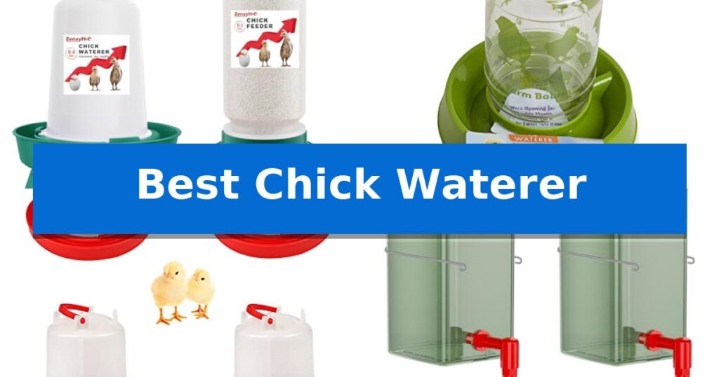 Best Chick Waterer