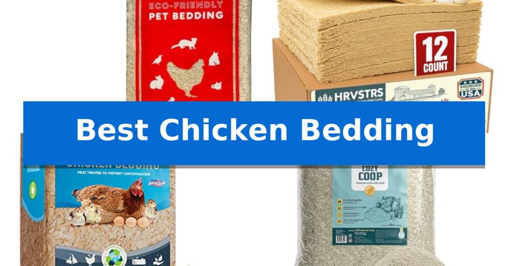 Best Chicken Bedding