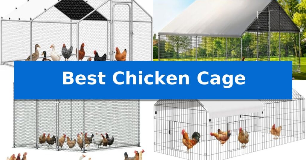 Best Chicken Cage
