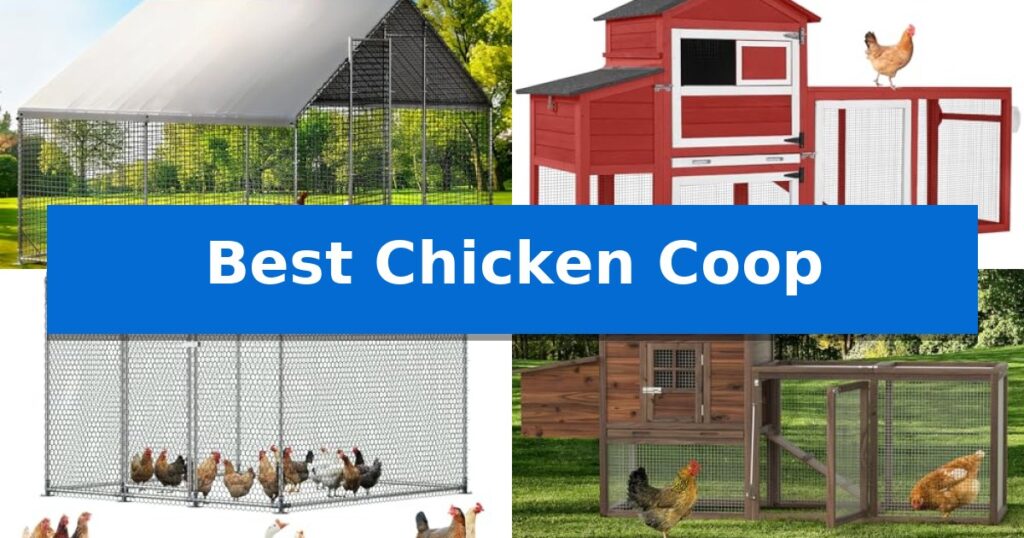 Best Chicken Coop