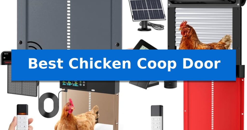 Best Chicken Coop Door
