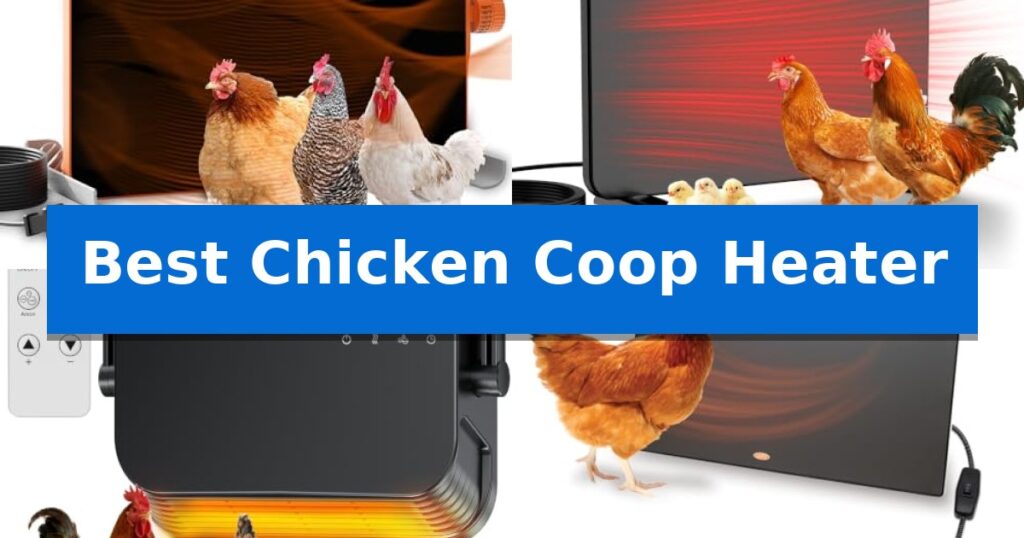 Best Chicken Coop Heater