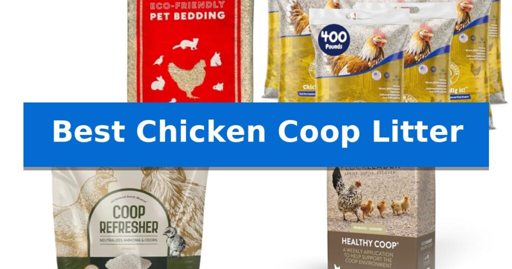 Best Chicken Coop Litter
