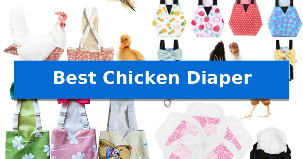 Best Chicken Diaper