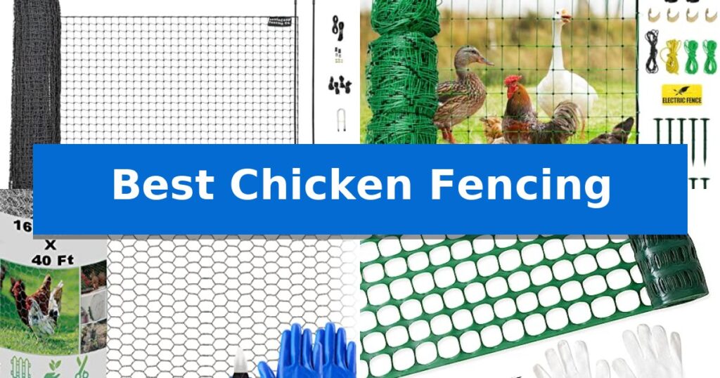 Best Chicken Fencing