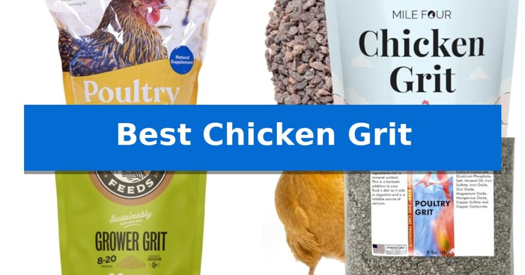 Best Chicken Grit
