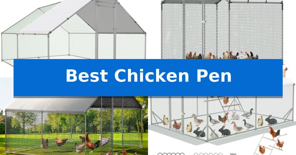Best Chicken Pen