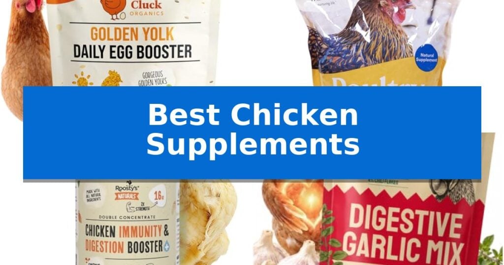 Best Chicken Supplements