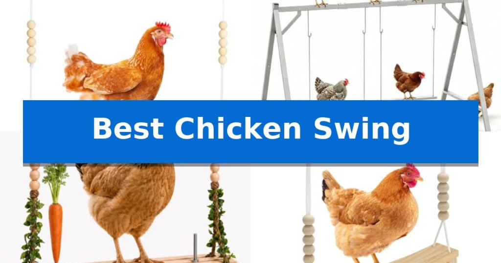 Best Chicken Swing