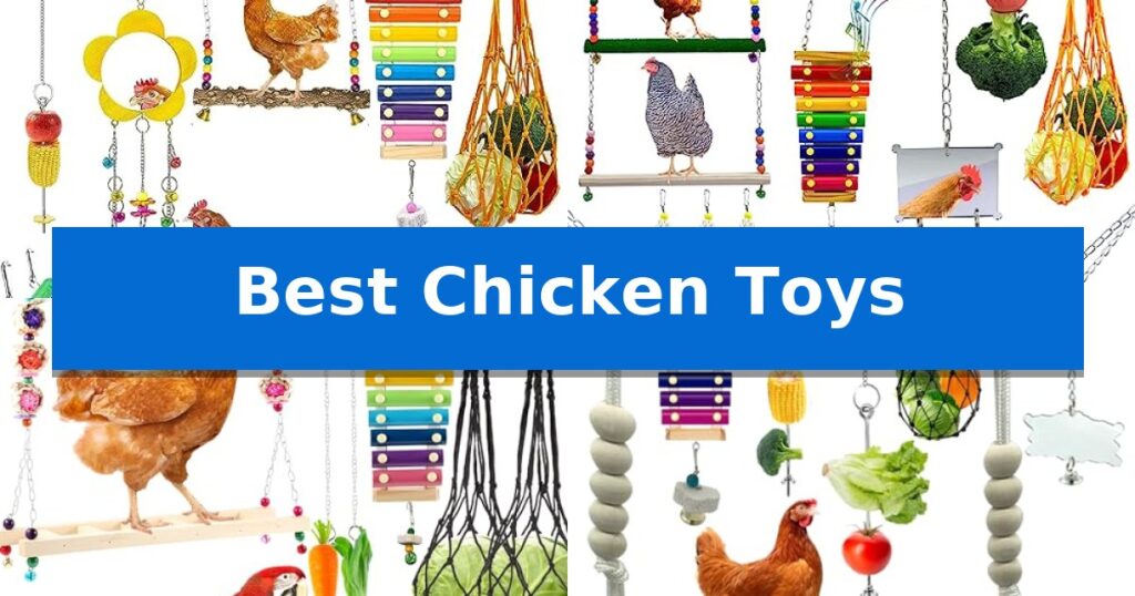 Best Chicken Toys
