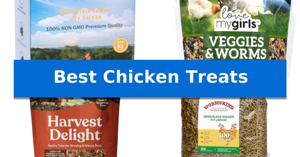Best Chicken Treats