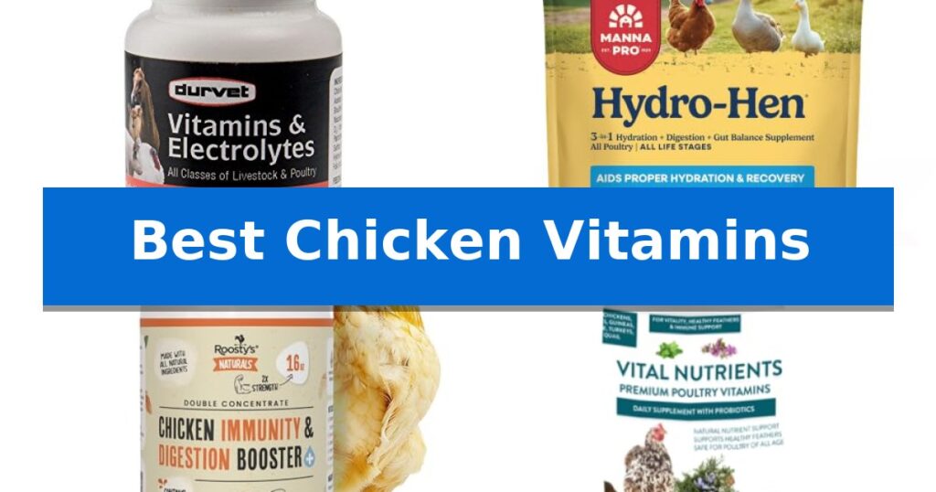 Best Chicken Vitamins