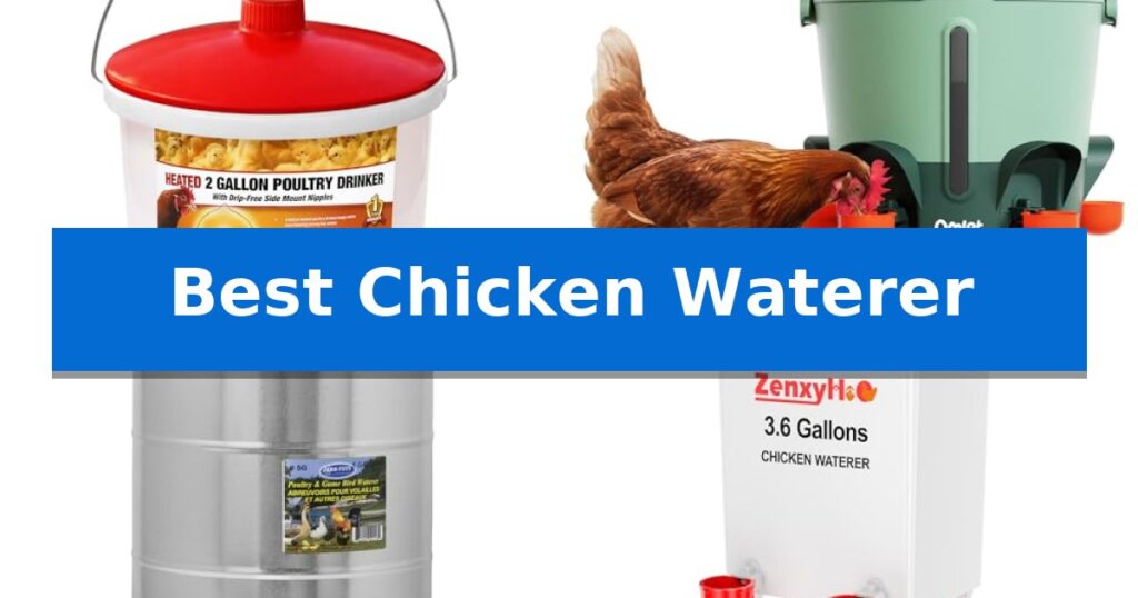 Best Chicken Waterer
