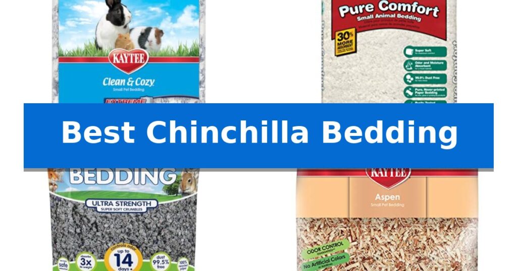 Best Chinchilla Bedding