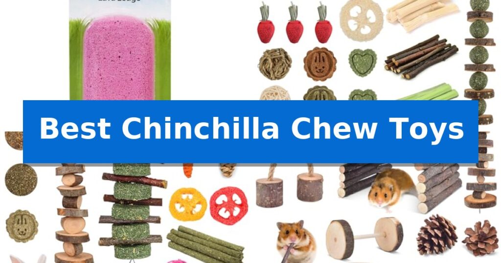 Best Chinchilla Chew Toys