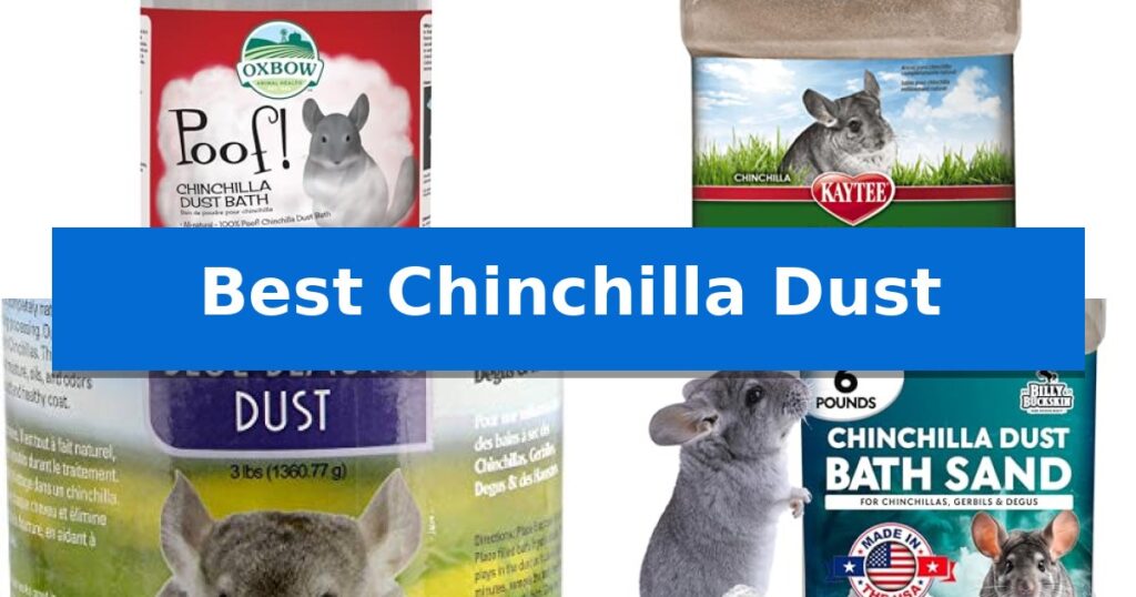 Best Chinchilla Dust