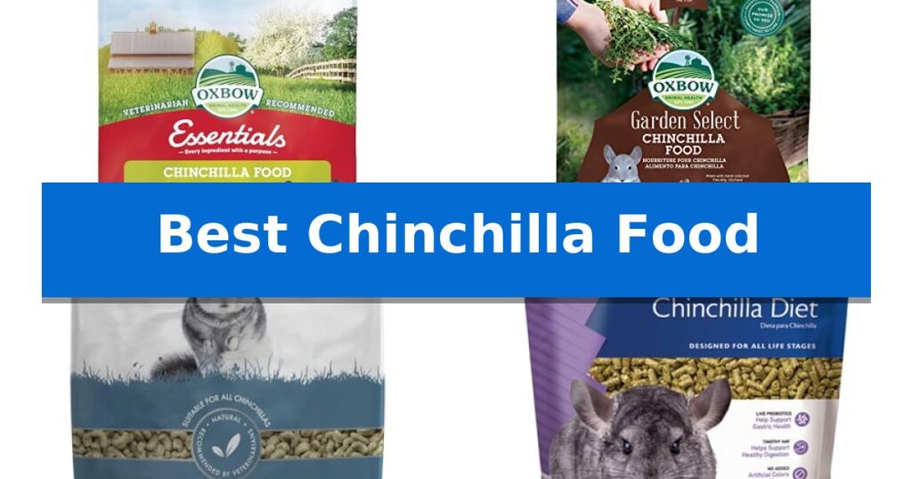 Best Chinchilla Food
