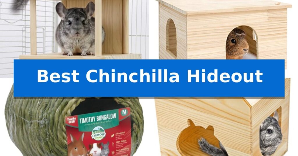 Best Chinchilla Hideout