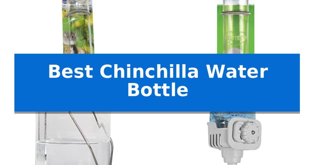 Best Chinchilla Water Bottle