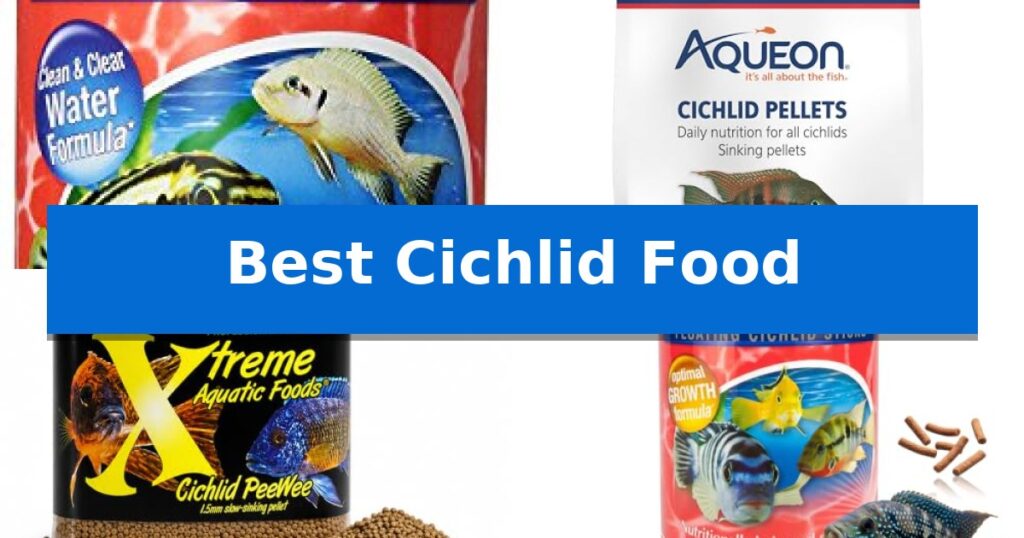 Best Cichlid Food