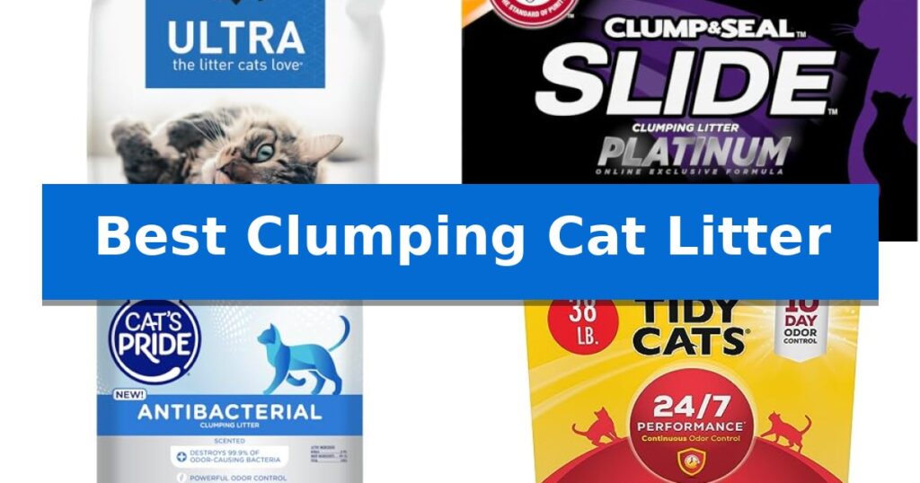 Best Clumping Cat Litter