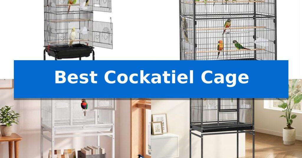 Best Cockatiel Cage