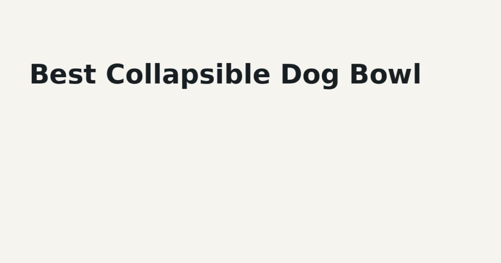 Best Collapsible Dog Bowl