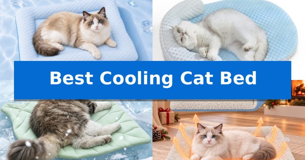 Best Cooling Cat Bed