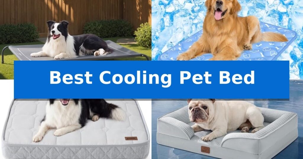 Best Cooling Pet Bed