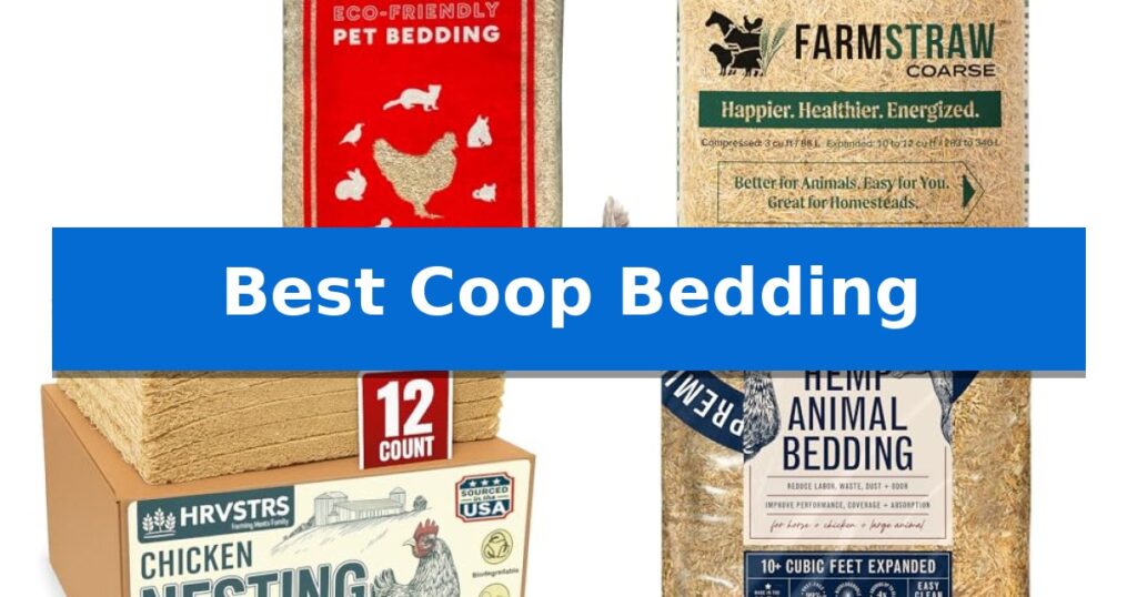 Best Coop Bedding