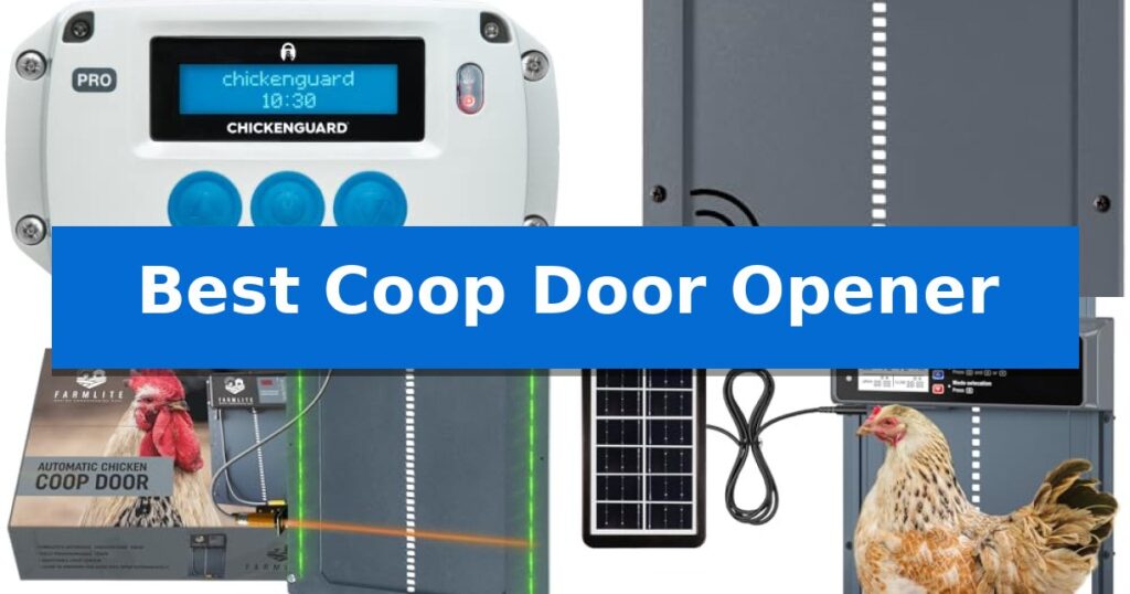 Best Coop Door Opener