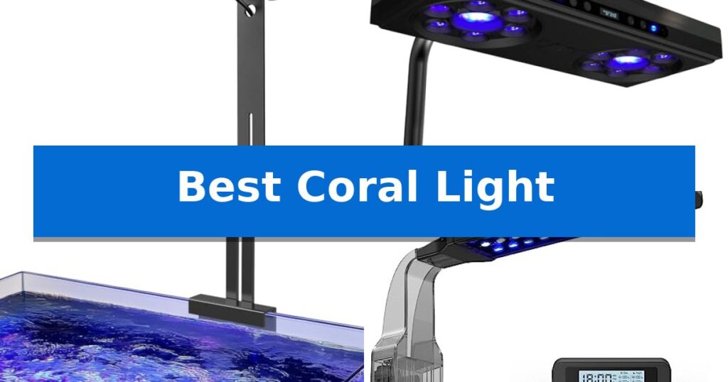 Fluorescence Spectroscpy Graph Best Coral Light in 2026: Optimizing Growth and Coloration - IERE Reviews