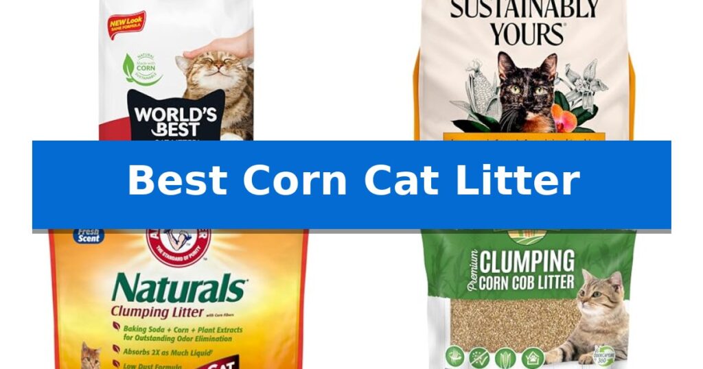 Best Corn Cat Litter