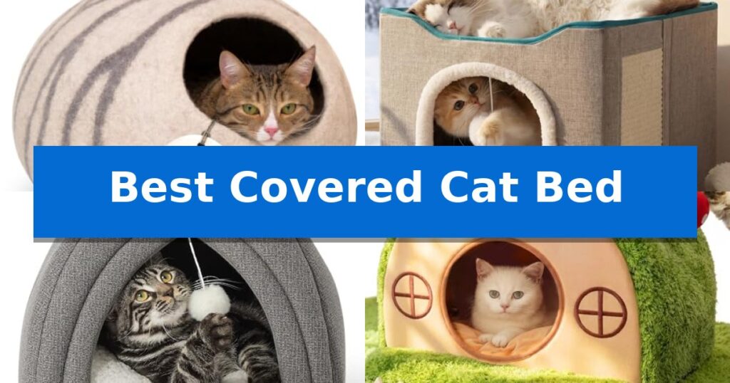 Best Covered Cat Bed