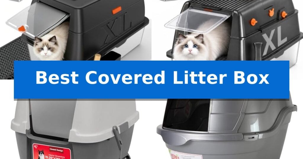 Best Covered Litter Box